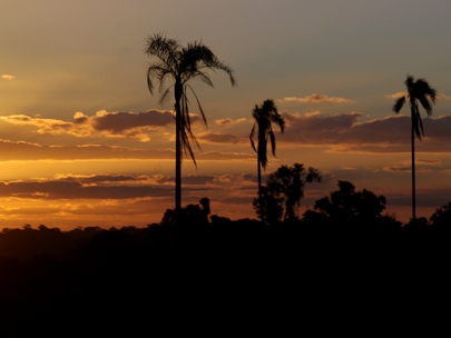 Dream away until home