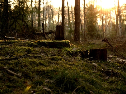 feel it...its in the air