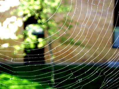 is there and end of the www