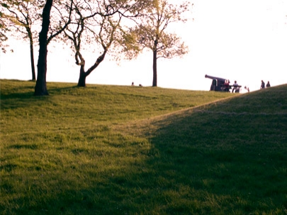 choose to look left or right 