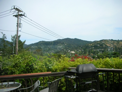 mill valley view