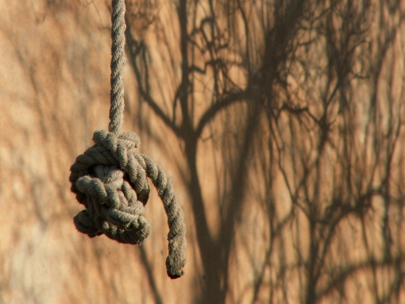 peaceful place for swinging