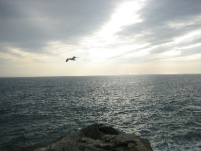 Let This Year Bring New Goals to Achieve...