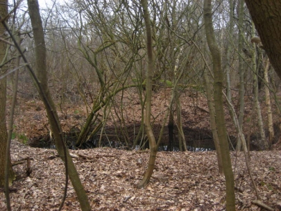 V2 bomb crater in the park