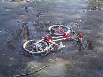 what winter hides spring reveales