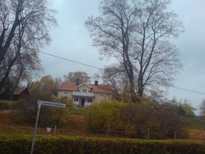 some sameness in a changing world