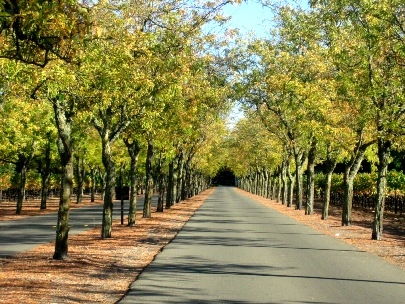 To See New Places and to Be Together,