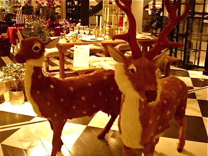 Christmas in the Air!!!