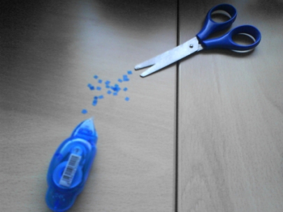 feeding the baby bird