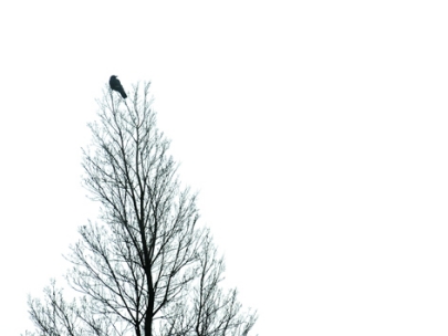 i will sit on the top to enjoy the whole picture...