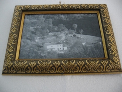 to remember and look forward to