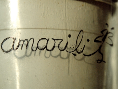 amarilis