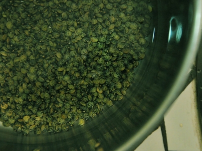 lentilles look like eggs when you look from up close