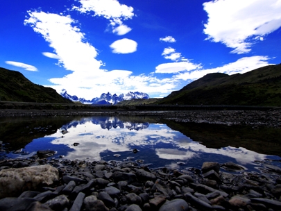 the one picture that made my day