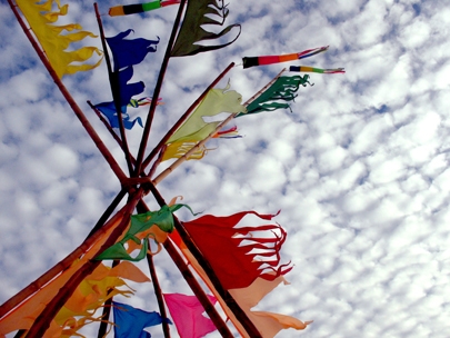 altogether it was colourful