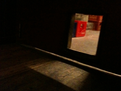 curiosity didn�t kill the cat, made him smarter...