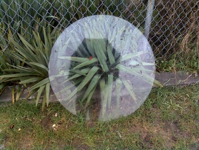 gravity is the will of the rock manifesting itself