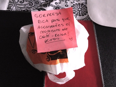 Sil is the cutest roommie!