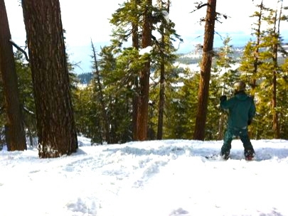 Locals know the best paths