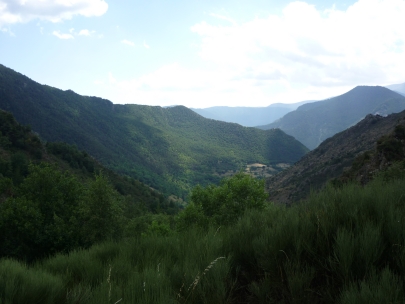 talked about vacation 