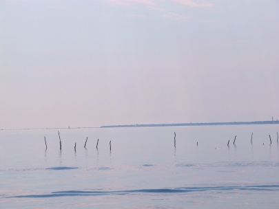 les huitres d'Arcachon 