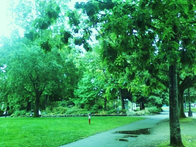 campus too dewy and beautiful to exist