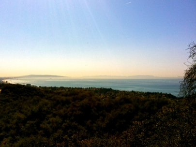 Good morning, California!