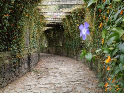 Going somewhere? Looks pretty nice inside there...