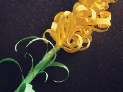paper metamorphosis
