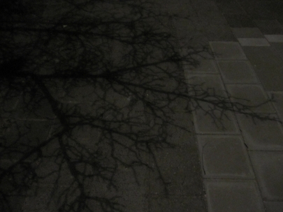 the world has fallen asleep