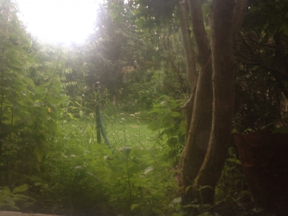 this time: no room 53