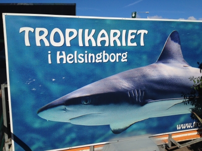 Tropikariet !