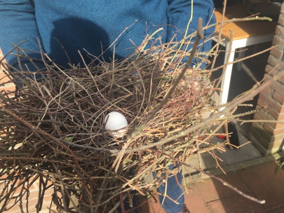 we found a pigeons nest under the balcony