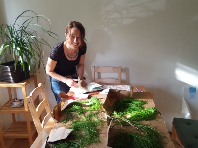 emotions, relationships and green things