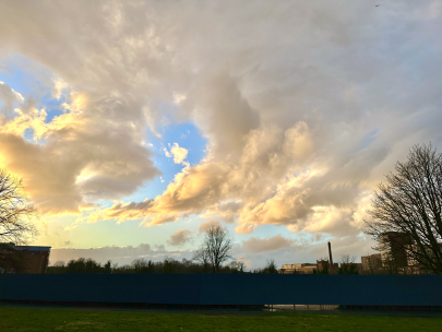 Angry eagle with a horn?