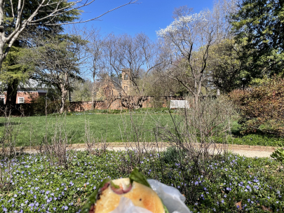 eating a pastrami bagel in a garden. impulse bought a couch