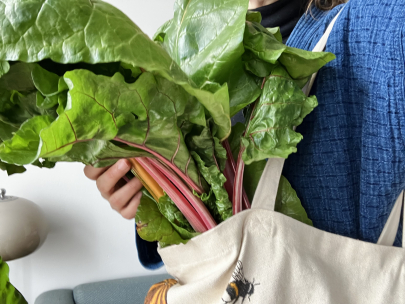 forgot my phone: first harvest of 2026