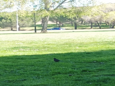 Busc�ndose la vida