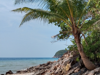 op een onbewoond eiland