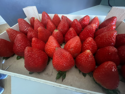 Fresas de huelva �am!