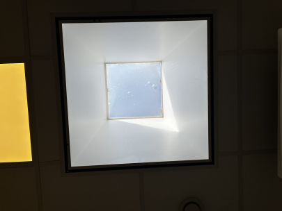 looking up