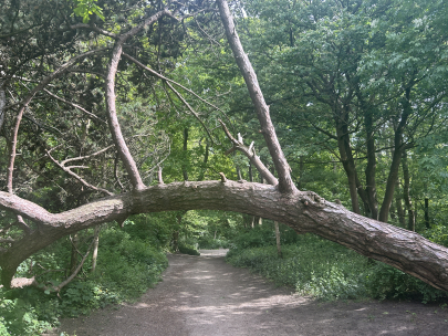 walk