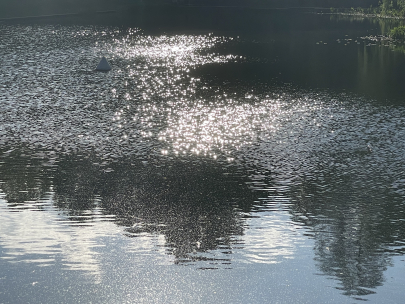 the pond outside work