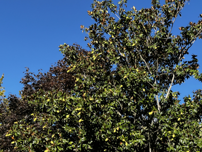 Que cielo m�s azul
