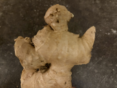 dancing ginger 