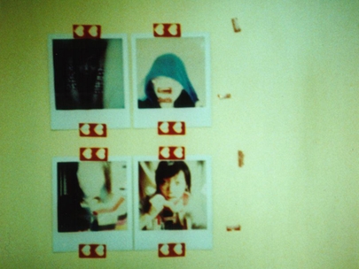 oops,my mistake! we're Ms.205.Mr.204 owned a cat.