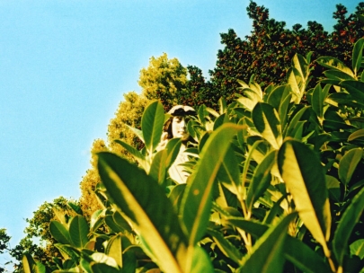 Someone watching or do we make our own fate?