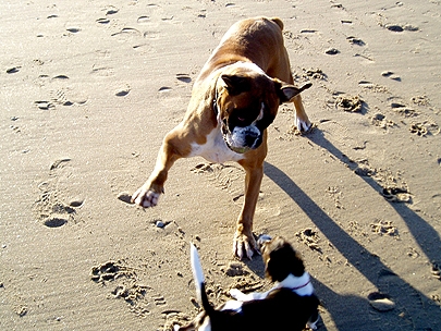 Getting to know each other