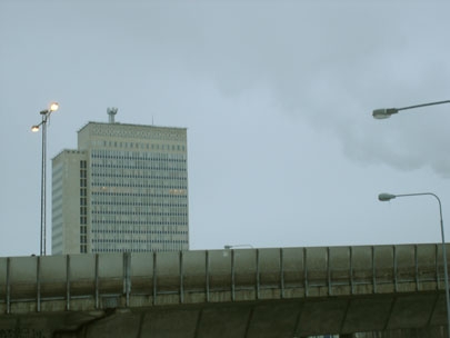 everybody is a disaster