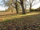 at hendon park